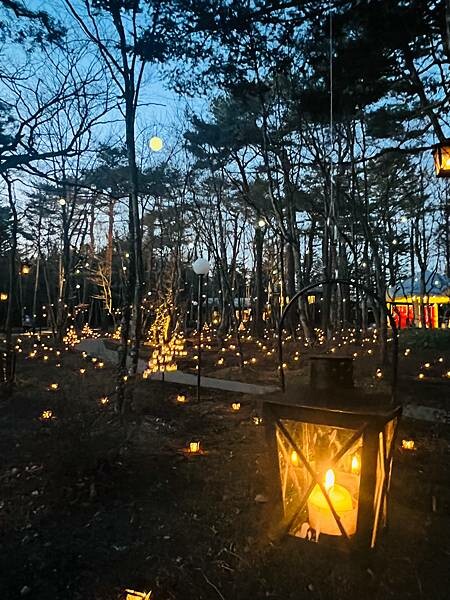 2023年日本長野縣輕井澤星野渡假飯店浪漫聖誕活動:杉樹廣場