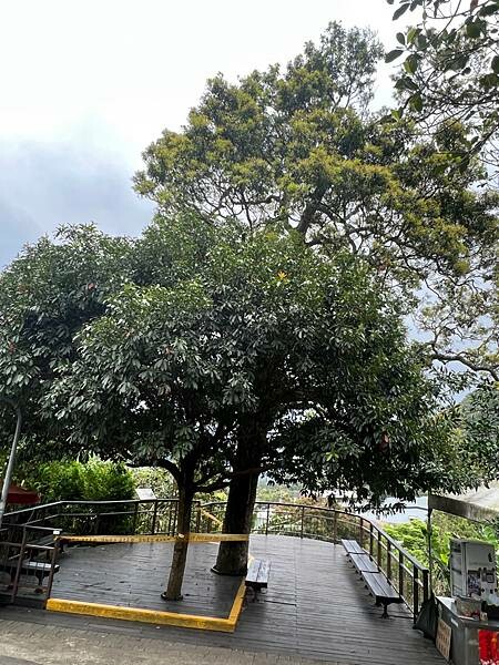 台北市內湖捷運站碧山巖。輕鬆漫慢遊。輕旅行:白石湖吊橋、午餐