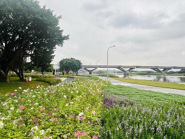 台北市捷運北門站:12月的延平河濱公園花海