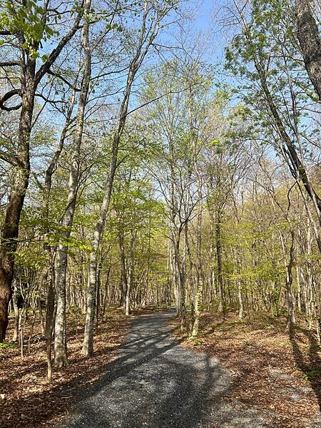星野奧入瀨溫泉渡假飯店（附交通方式）。在自然生態的溪流邊渡過