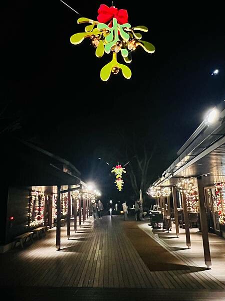 2023年日本長野縣輕井澤星野渡假飯店浪漫聖誕活動:杉樹廣場