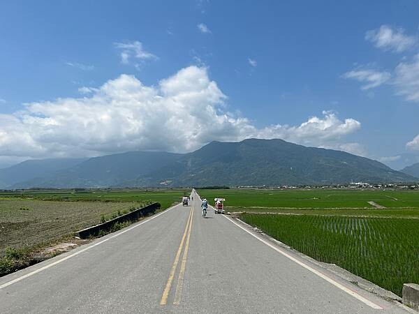 池上春季一日遊。伯朗大道一片片綠油油的稻田|台東嘉義宜蘭遊記