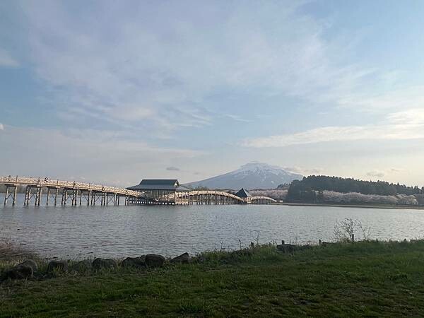 《2023年日本東北櫻花季》陸奧鶴田半日遊。津輕富士見湖。鶴 《2023年日本東北櫻花季》陸奧鶴田半日遊。津輕富士見湖。鶴