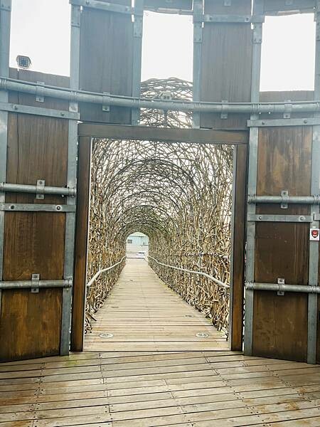 嘉義市步行路線：阿里山檜木的檜意森活村、藝術家王文志的森林之