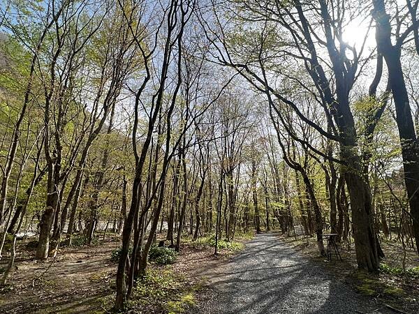 星野奧入瀨溫泉渡假飯店（附交通方式）。在自然生態的溪流邊渡過