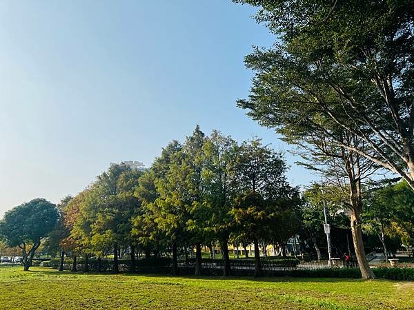 台北捷運士林站半日遊:參觀士林官邸。玫瑰花園