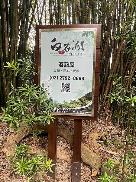 台北市內湖捷運站碧山巖。輕鬆漫慢遊。輕旅行:白石湖吊橋、午餐