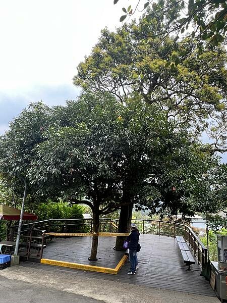 台北市內湖捷運站碧山巖。輕鬆漫慢遊。輕旅行:白石湖吊橋、午餐