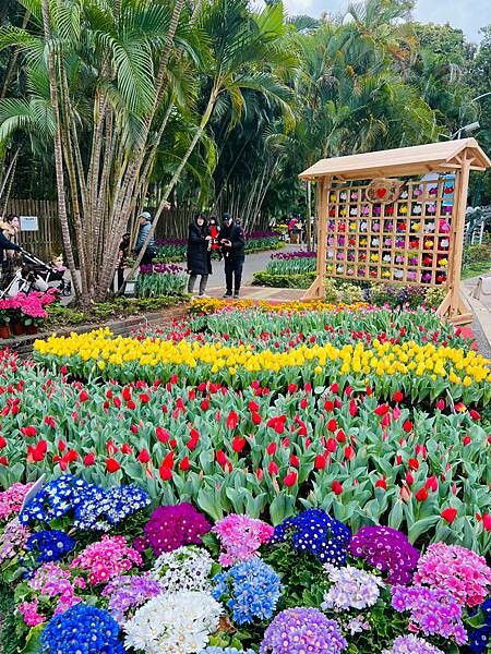 2024年士林官邸公園鬱金香花季:相鬱祈福。鬱金香齊放