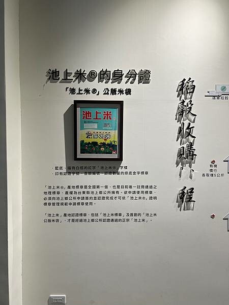 池上春季一日遊。伯朗大道一片片綠油油的稻田|台東嘉義宜蘭遊記