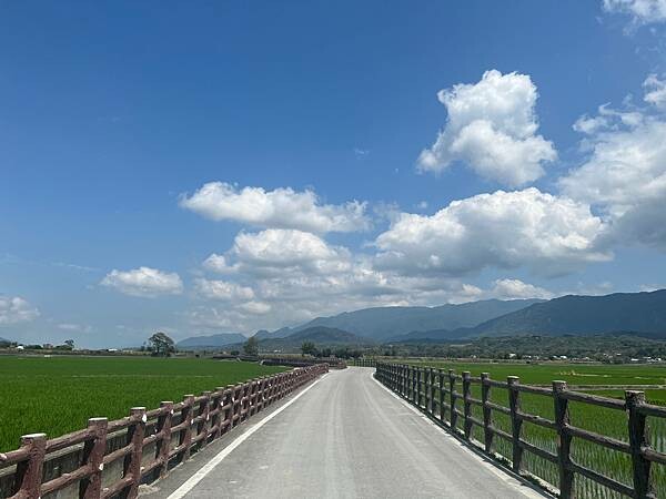池上春季一日遊。伯朗大道一片片綠油油的稻田|台東嘉義宜蘭遊記