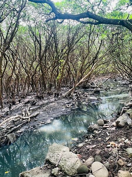 新北市八里一日遊：2023年八里神化沙雕藝術展。挖子尾自然保