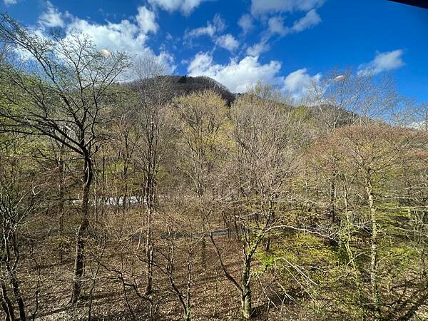 星野奧入瀨溫泉渡假飯店（附交通方式）。在自然生態的溪流邊渡過