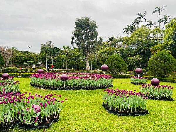 2024年士林官邸公園鬱金香花季:相鬱祈福。鬱金香齊放