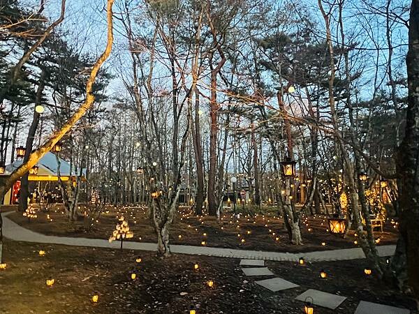 2023年日本長野縣輕井澤星野渡假飯店浪漫聖誕活動:杉樹廣場