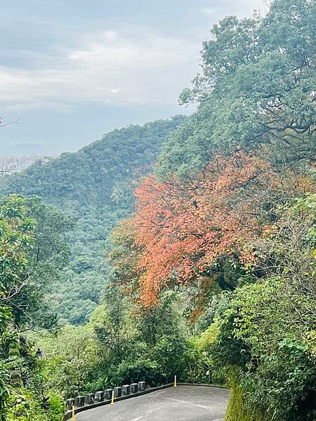 新北市汐止拱北殿：賞楓步道。慢步雙拱橋熱門打卡景點