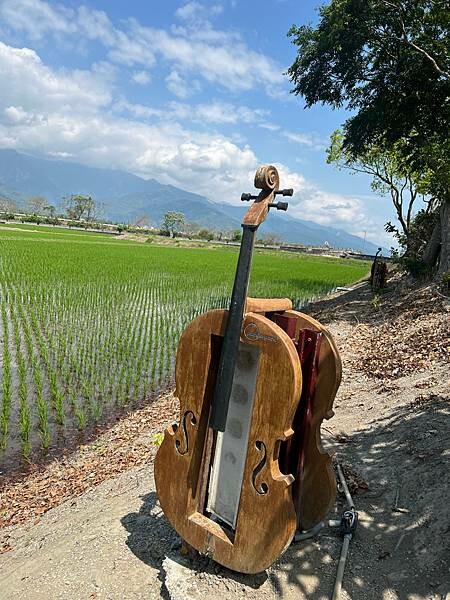 池上春季一日遊。伯朗大道一片片綠油油的稻田|台東嘉義宜蘭遊記