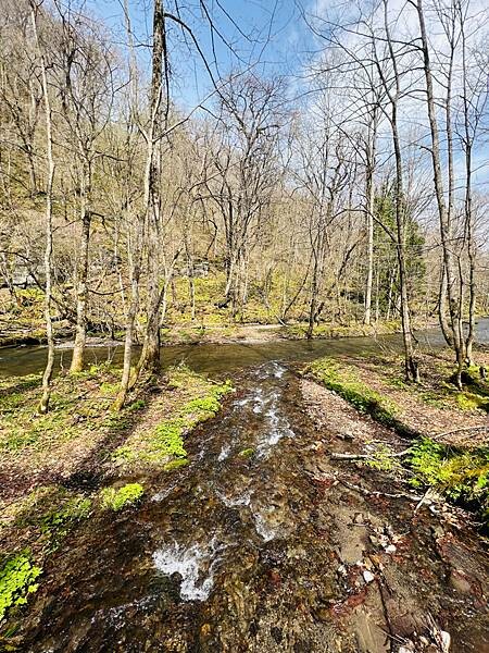 奧入瀨溪流一日慢走遊記:三亂の流れ、石戶休息站、阿修羅之流、 奧入瀨溪流一日慢走遊記:三亂の流れ、石戶休息站、阿修羅之流、