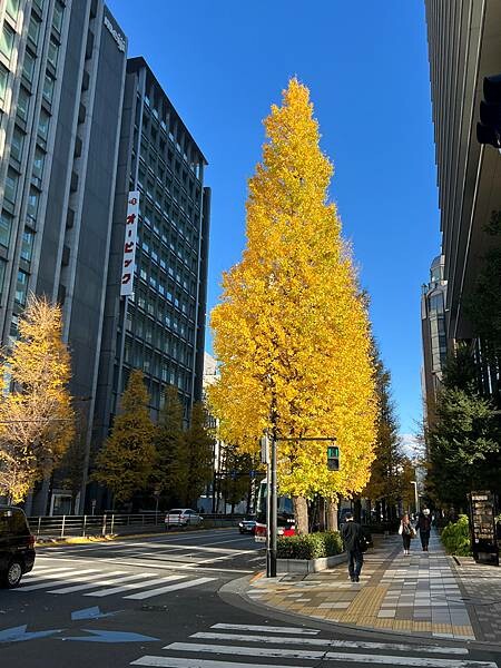 東京京橋評價住宿：東京京橋雷姆飯店Remm Tokyo Ky