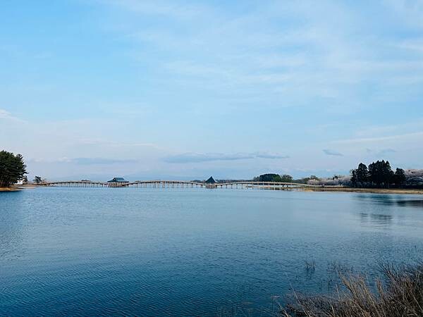 《2023年日本東北櫻花季》陸奧鶴田半日遊。津輕富士見湖。鶴 《2023年日本東北櫻花季》陸奧鶴田半日遊。津輕富士見湖。鶴