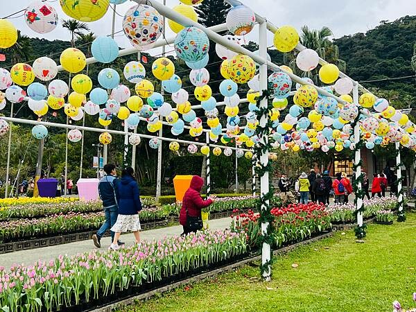 2024年士林官邸公園鬱金香花季:相鬱祈福。鬱金香齊放