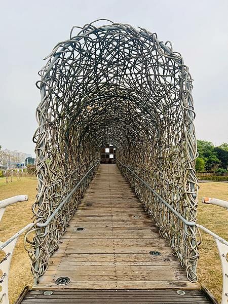 嘉義市步行路線：阿里山檜木的檜意森活村、藝術家王文志的森林之