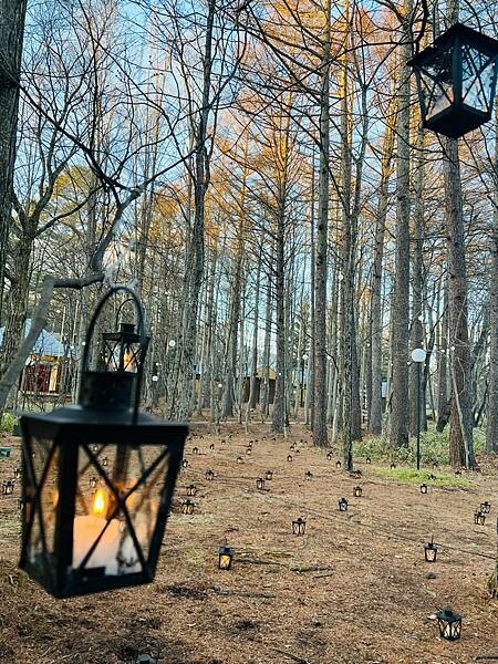 2023年日本長野縣輕井澤星野渡假飯店浪漫聖誕活動:杉樹廣場