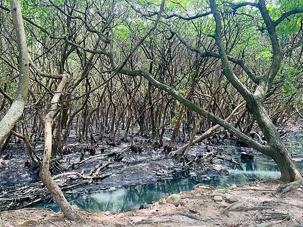 新北市八里一日遊：2023年八里神化沙雕藝術展。挖子尾自然保