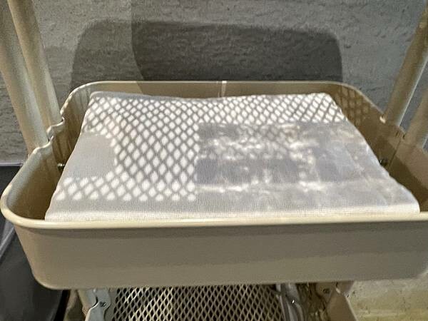 松山機場✈️台東市。入住近台東火車站工業風格十足的実舍Gen