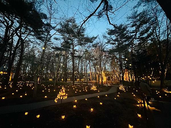 2023年日本長野縣輕井澤星野渡假飯店浪漫聖誕活動:杉樹廣場