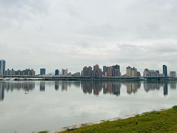 台北市捷運北門站:12月的延平河濱公園花海