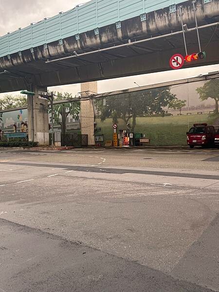 台北市捷運北門站:12月的延平河濱公園花海