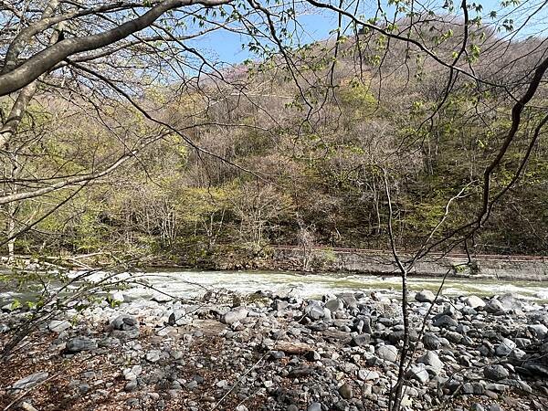 星野奧入瀨溫泉渡假飯店（附交通方式）。在自然生態的溪流邊渡過