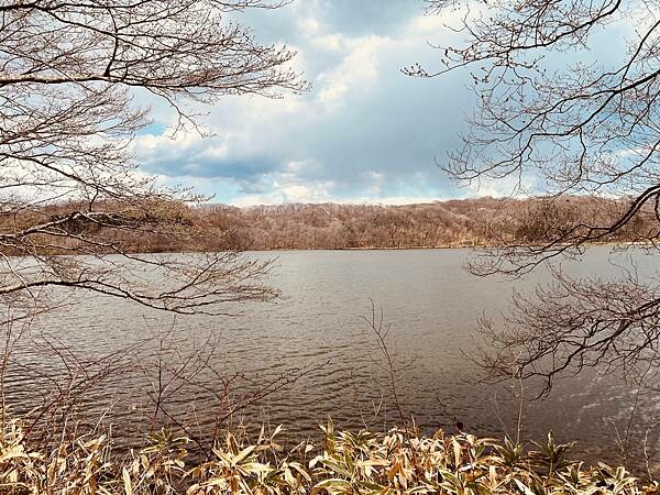 四季如畫的北海道白老町。波羅多湖畔旁的「星野。界 波羅多渡假