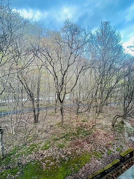 星野奧入瀨溫泉渡假飯店（附交通方式）。在自然生態的溪流邊渡過