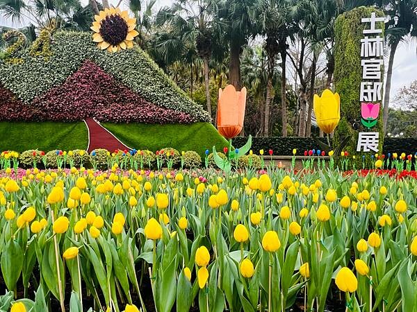 2024年士林官邸公園鬱金香花季:相鬱祈福。鬱金香齊放