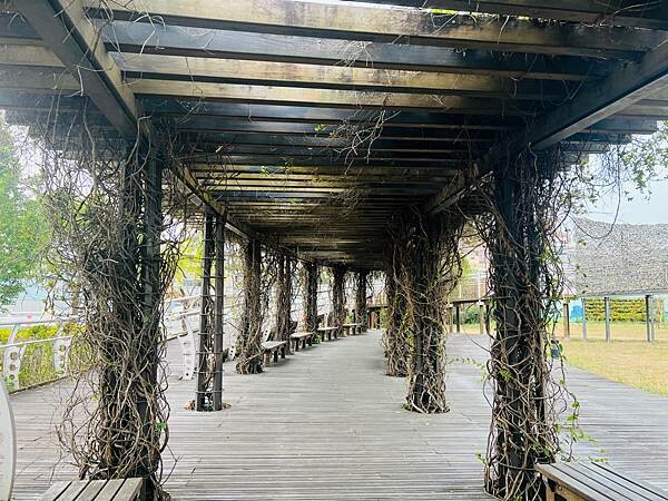 嘉義市步行路線：阿里山檜木的檜意森活村、藝術家王文志的森林之