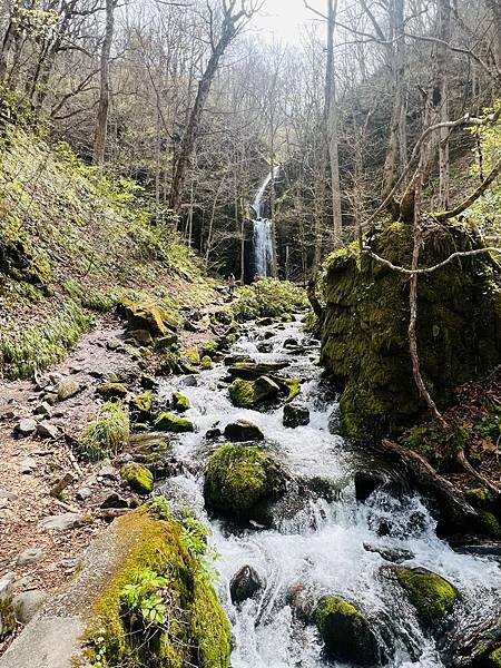 奧入瀨溪流一日慢走遊記:三亂の流れ、石戶休息站、阿修羅之流、 奧入瀨溪流一日慢走遊記:三亂の流れ、石戶休息站、阿修羅之流、