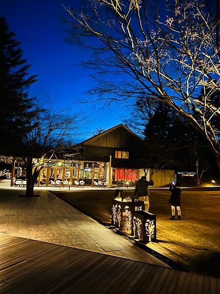 2023年日本長野縣輕井澤星野渡假飯店浪漫聖誕活動:杉樹廣場