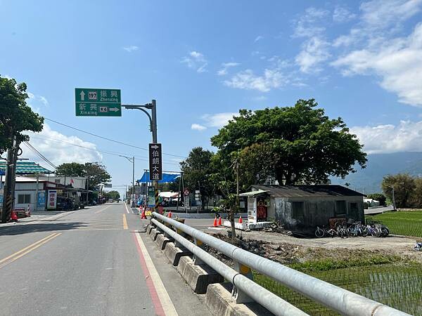 池上春季一日遊。伯朗大道一片片綠油油的稻田|台東嘉義宜蘭遊記