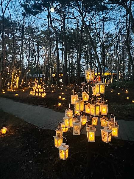 2023年日本長野縣輕井澤星野渡假飯店浪漫聖誕活動:杉樹廣場