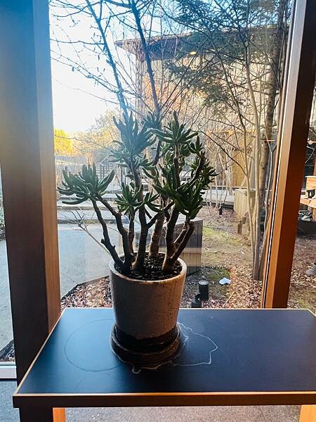 東京近郊:輕井澤星野集團住宿。Karuizawa Hoshi