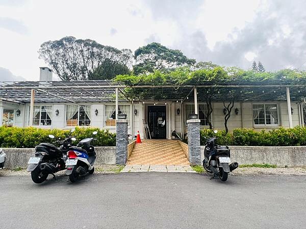 陽明山草山小鎮:大衛小小羊David & Alpaca,近距 陽明山草山小鎮:大衛小小羊David & Alpaca,近距