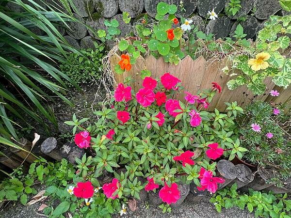 台北市內湖捷運站碧山巖。輕鬆漫慢遊。輕旅行:白石湖吊橋、午餐