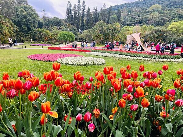 2024年士林官邸公園鬱金香花季:相鬱祈福。鬱金香齊放