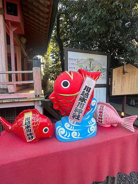 東京近郊小江戶川越一日遊:歷史老式建築物的川越藏造老街。老街