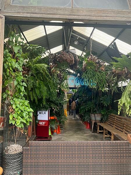 北海岸一日遊:跳石站、石門洞、午餐 Le Qua 公雞餐廳 北海岸一日遊:跳石站、石門洞、午餐 Le Qua 公雞餐廳