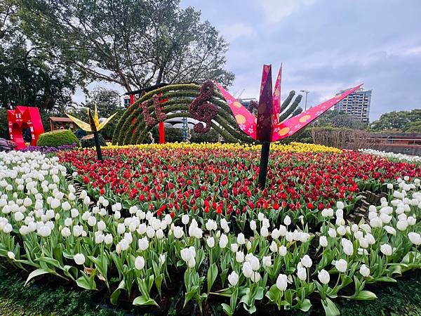2024年士林官邸公園鬱金香花季:相鬱祈福。鬱金香齊放