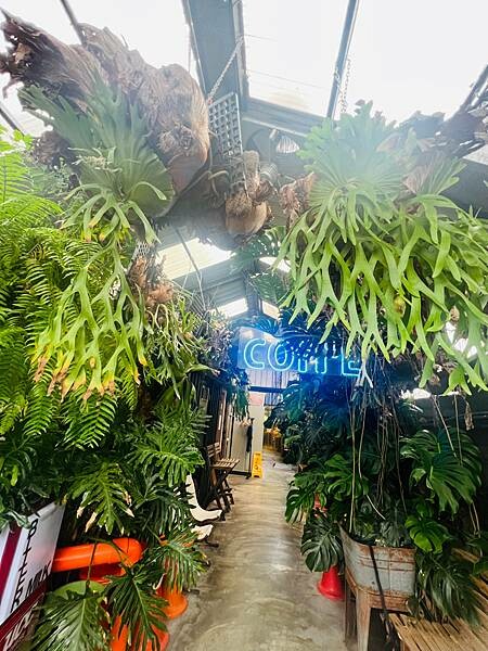 北海岸一日遊:跳石站、石門洞、午餐 Le Qua 公雞餐廳 北海岸一日遊:跳石站、石門洞、午餐 Le Qua 公雞餐廳