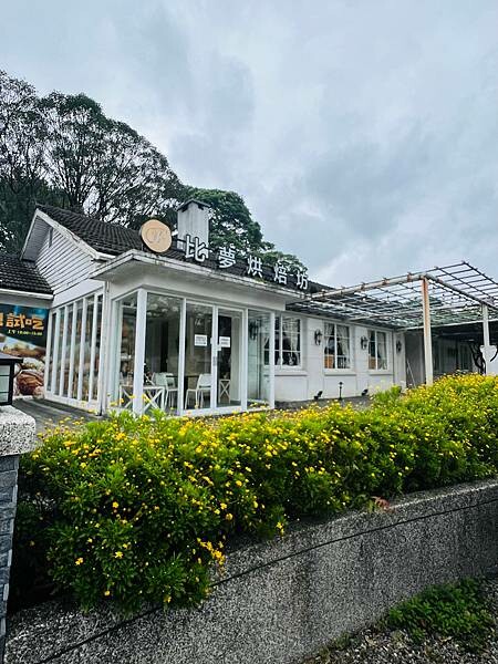 陽明山草山小鎮:大衛小小羊David & Alpaca,近距 陽明山草山小鎮:大衛小小羊David & Alpaca,近距